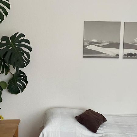 Fewo Oberhausen-Alstaden Обергаузен Екстер'єр фото